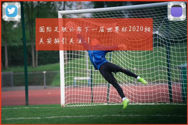 国际足联公布下一届世界杯2020相关安排引关注_1