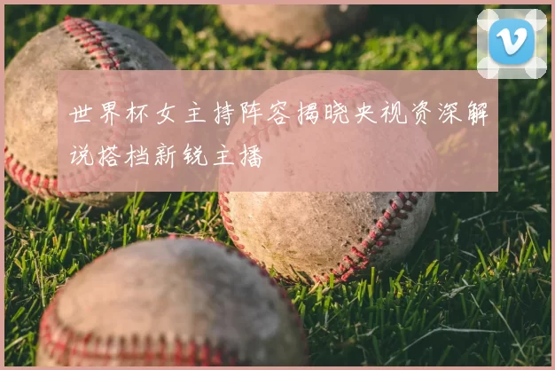 世界杯女主持阵容揭晓央视资深解说搭档新锐主播