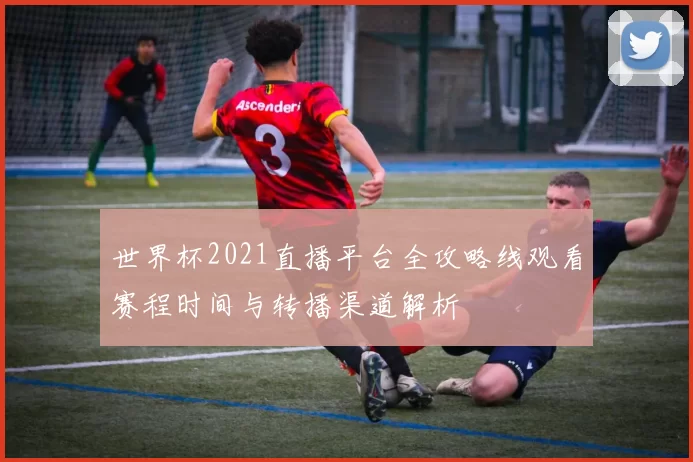 世界杯2021直播平台全攻略线观看赛程时间与转播渠道解析