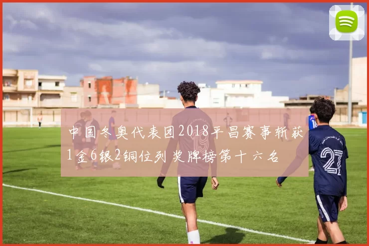 中国冬奥代表团2018平昌赛事斩获1金6银2铜位列奖牌榜第十六名