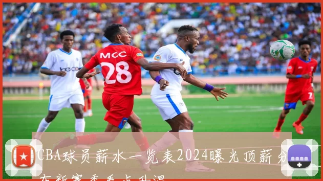 CBA球员薪水一览表2024曝光顶薪分布新赛季看点升温