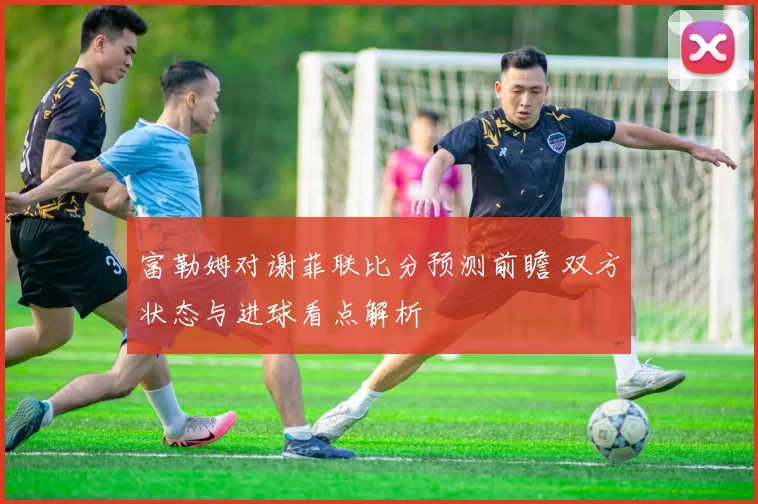 富勒姆对谢菲联比分预测前瞻 双方状态与进球看点解析