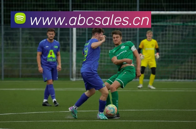 必一·运动(B - Sports)官方网站 - 体育用品科技有限公司APP 封面图